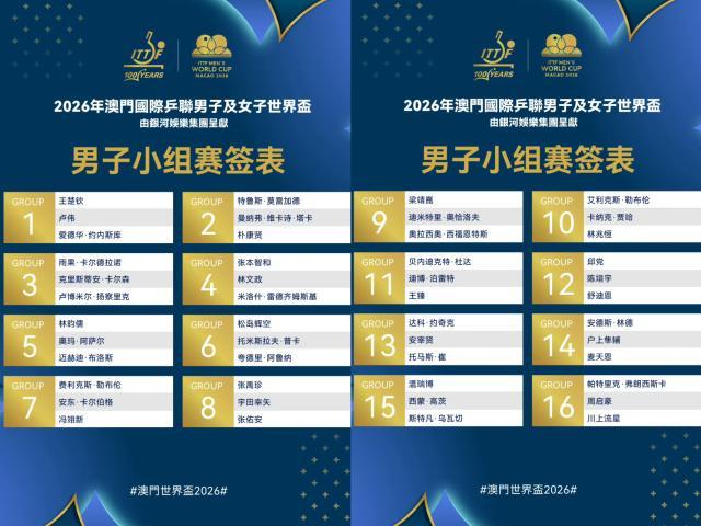 开云下载-世界杯男单抽签：王楚钦之外无人有把握小组出线
